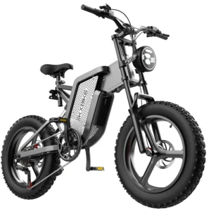 EKXBike X20 2000W 48V 35Ah >50km/h 31-60km 20" Mountain Electric Bicycle